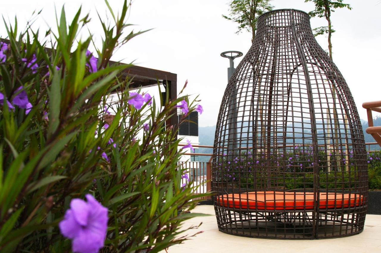 Lovely & Cozy @ Midills Genting *